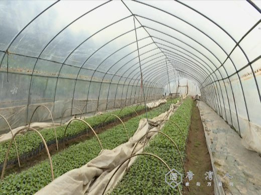 大河岸镇：新春新开局 聚力谋发展