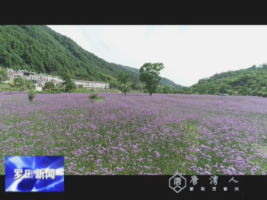 大河岸镇:“旅游+”融合业态促进乡村振兴