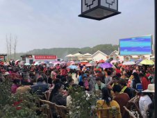 罗田县2019年清明小长假旅游情况综述