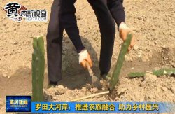 大河岸：推进农旅融合 助力乡村振兴