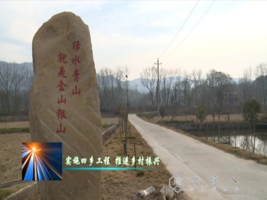 罗田县大河岸镇:汇集各方要素 推进乡村振兴