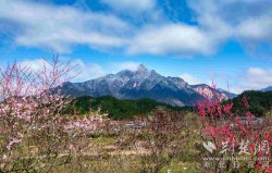 罗田天堂寨景区恢复运营 4月30日前全国游